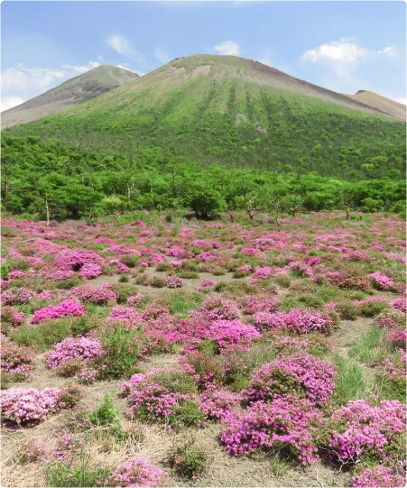 Ebino Plateau