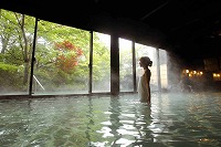 Outdoor bath